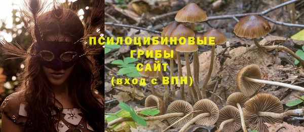 mdpv Балабаново
